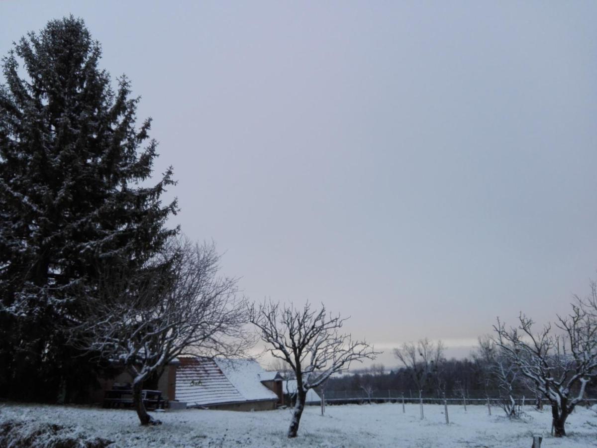 Chez Casimir Bed & Breakfast Cercy-la-Tour Exterior foto